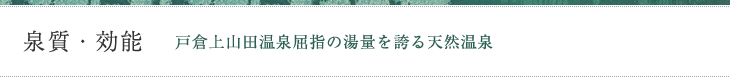 泉質・効能　戸倉上山田温泉屈指の湯量を誇る天然温泉