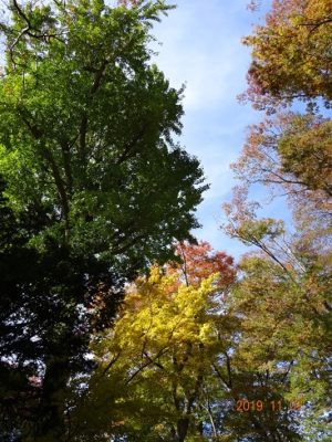 晩秋も信州千曲市へどうぞ^^
