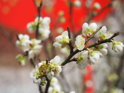 年末年始も温泉宿でほっと＾＾