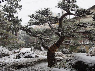 明日の空室ございます。