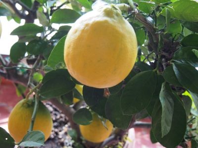 明日から2月^^