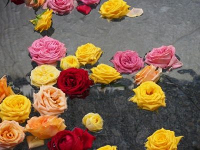 薔薇風呂は客室棟1階女性露天風呂です^^