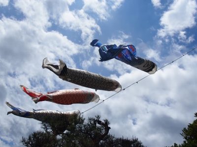 長野県民限定プランは今月土日限定でございます。