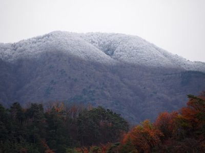 雪が舞いました**。・・**。