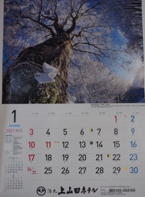 お正月のご予定はお決まりですか?