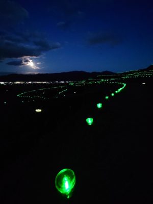 ペットボタルの夜景